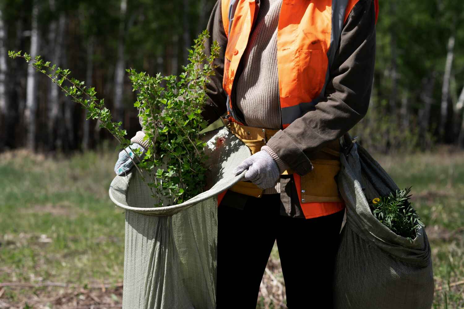 Best Best Tree Removal Services  in Cottage City, MD